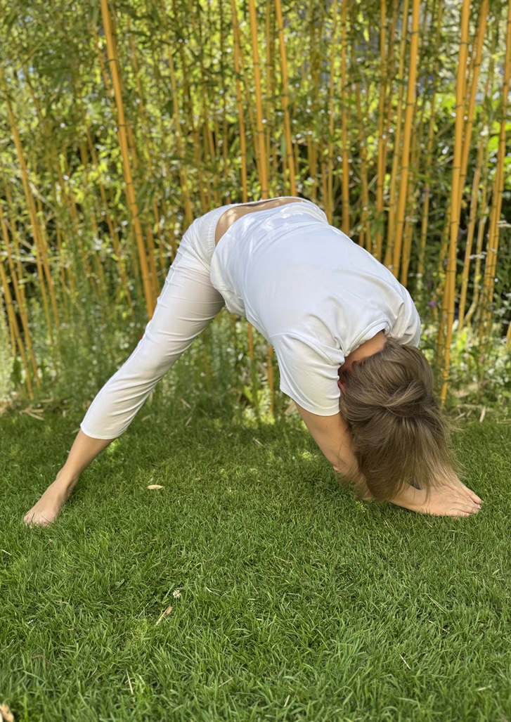 TRE Exercise 4 - Wide-Leg Forward Bend step 3